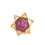 Load image into Gallery viewer, Nakshatra Ganesha Brooch Pin
